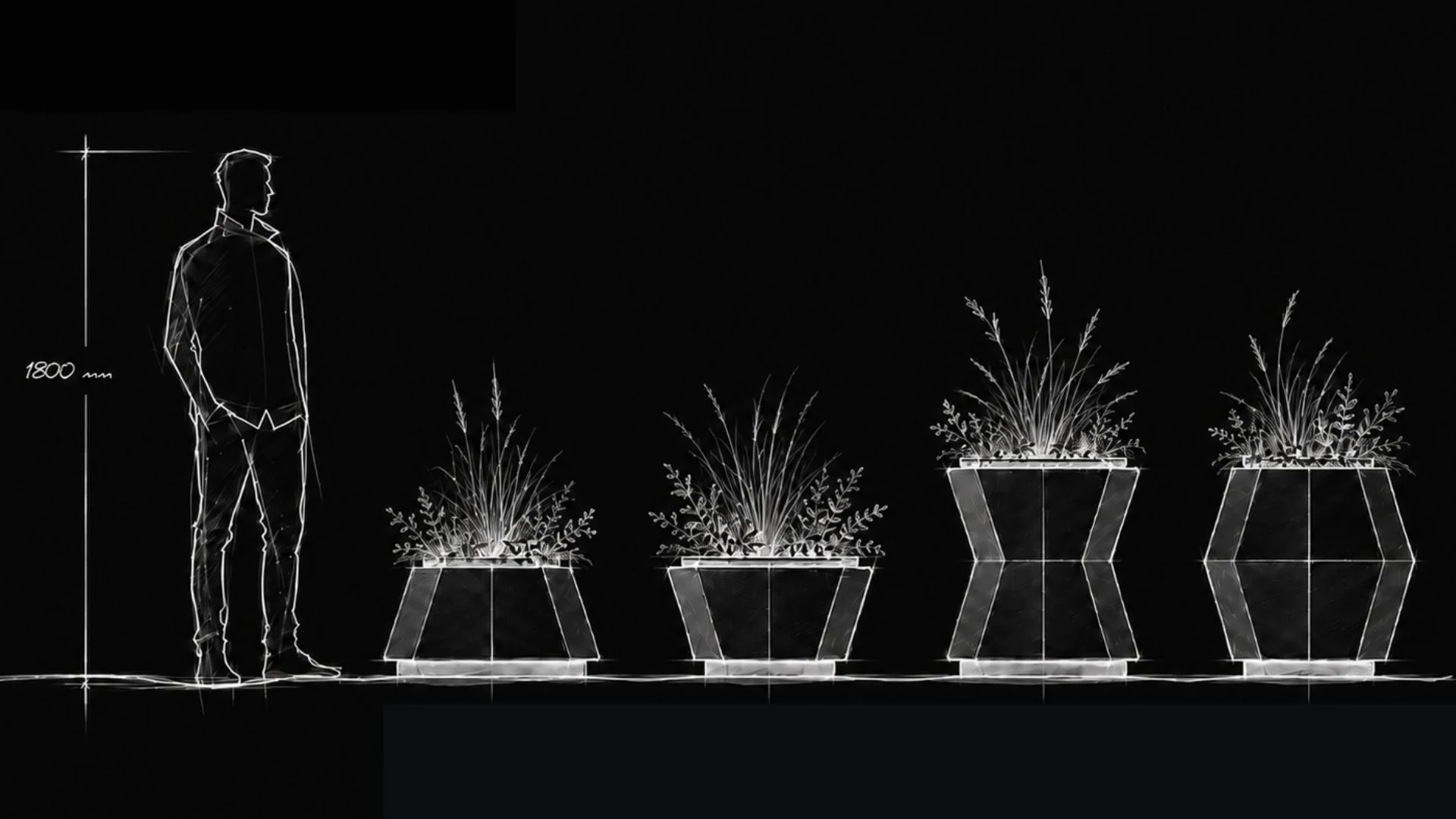 Verge planter sketch study
